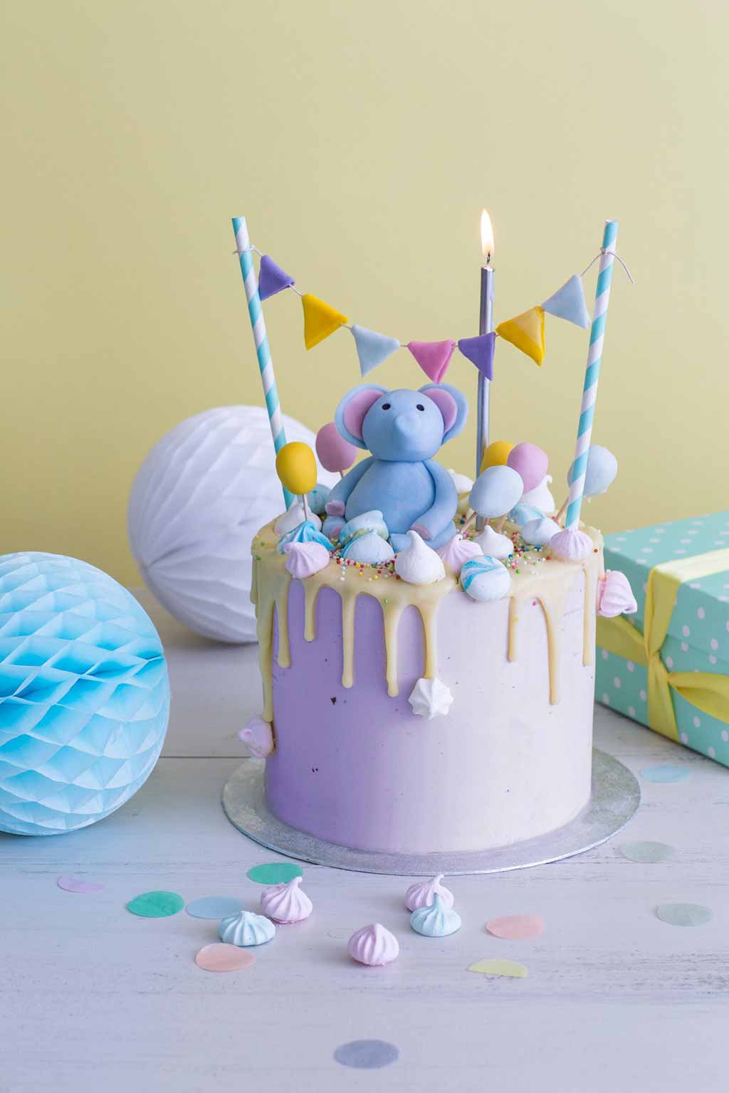 Birthday cake party props