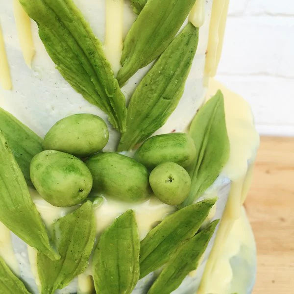 A Taste of the Mediterranean: Stunning Wedding and Birthday Cakes