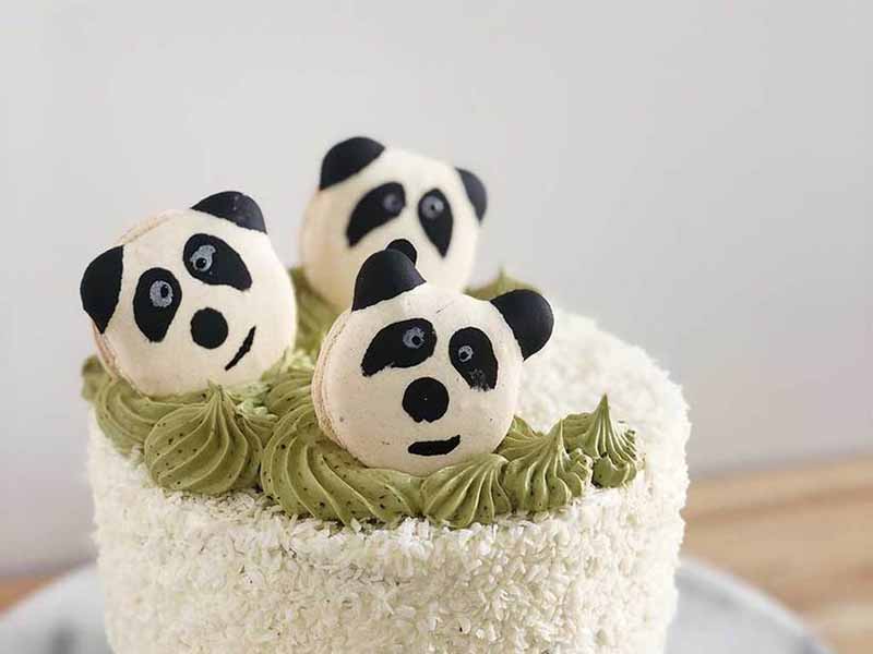 Panda Macaron Cake Recipe