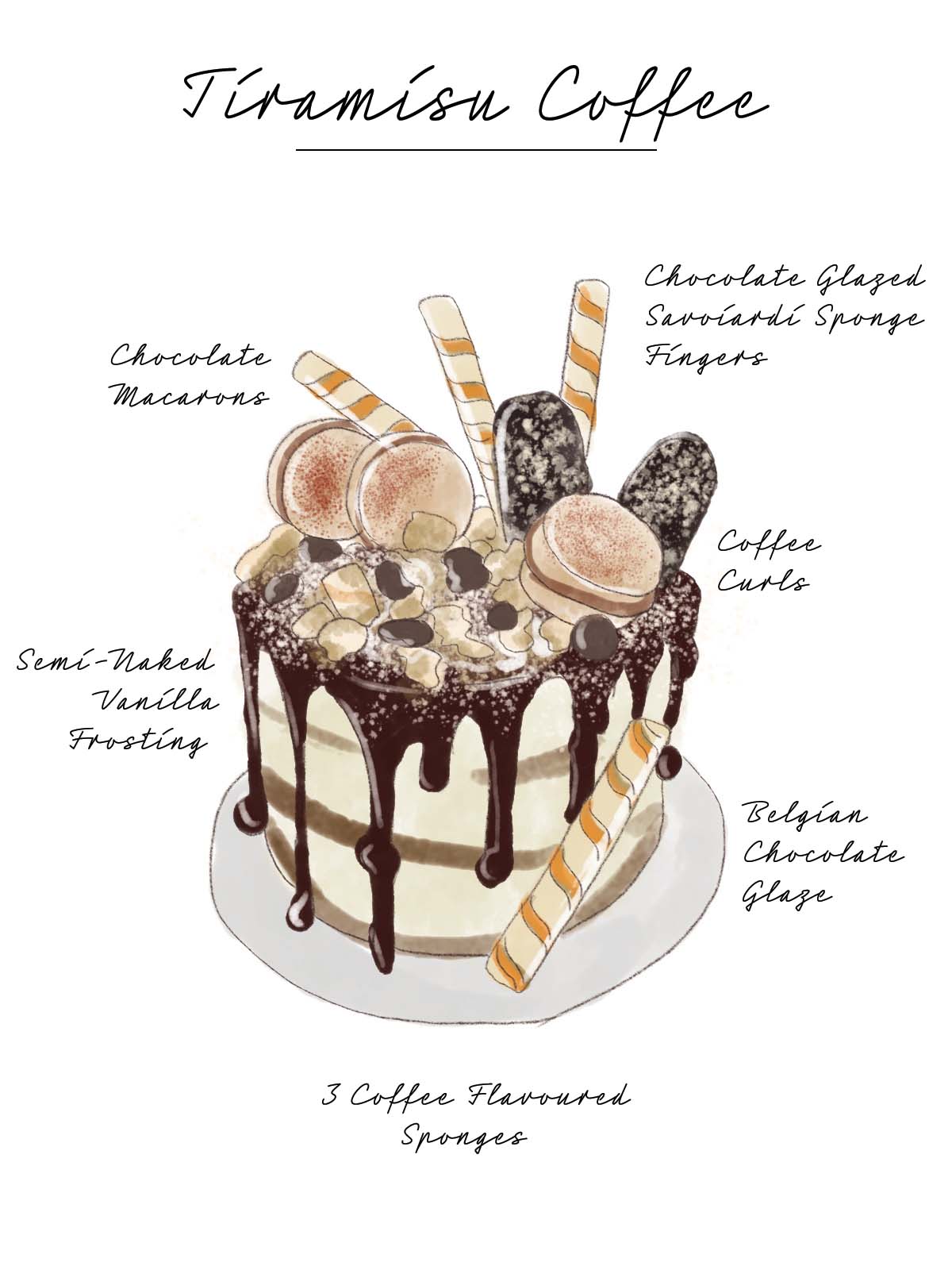 Tiramisu Coffee Cake Illustration