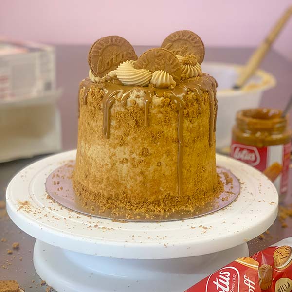 Fake Bakes - Biscoff Cake Feature Image