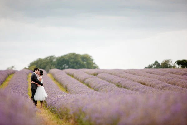 Lavender Wedding Inspiration