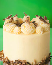 The Insect Cake is a white frosted treat decorated with creamy swirls and topped with edible worms and crickets, presented against a vibrant green background.