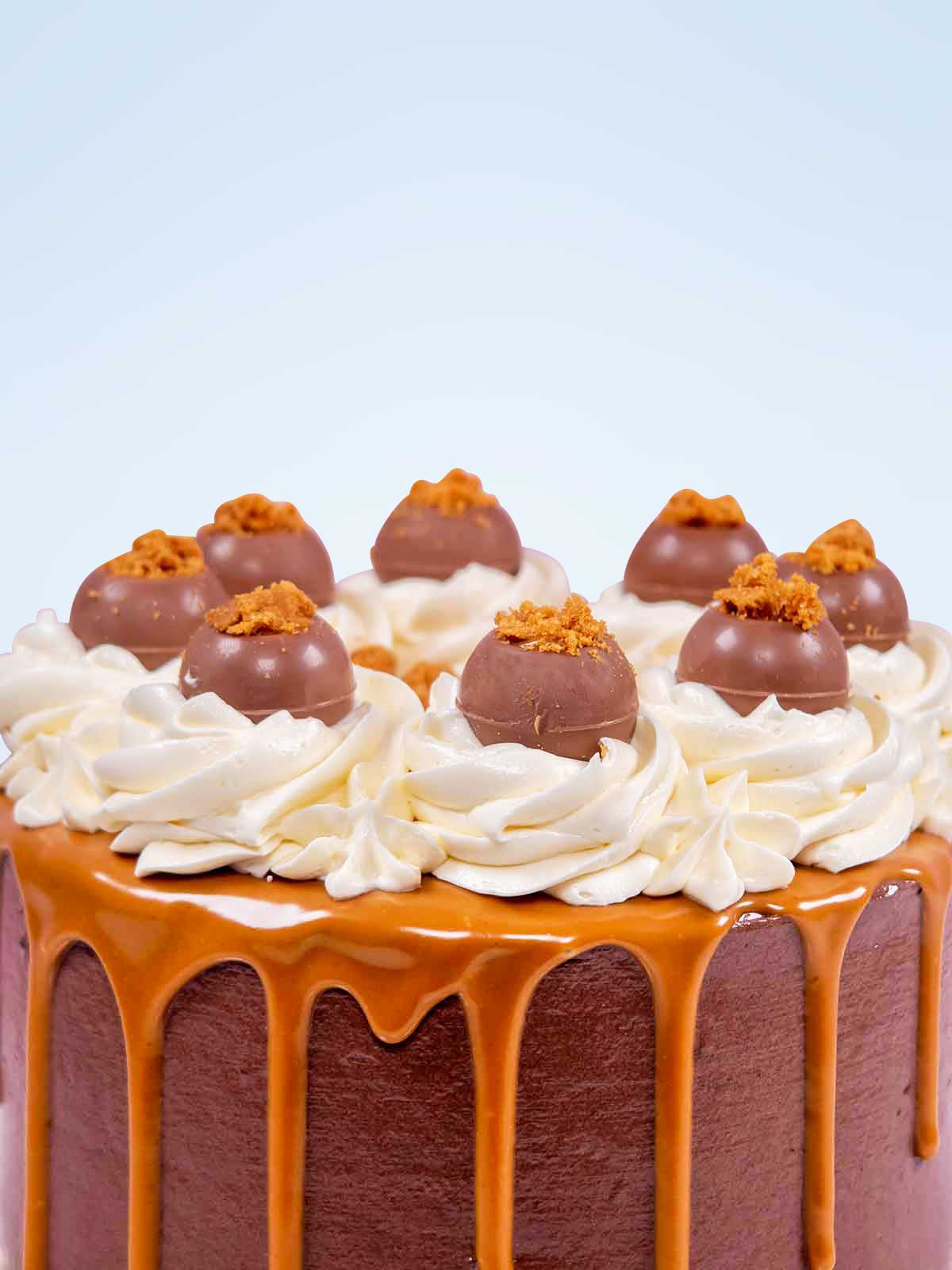 Biscoff Truffle Cake Near Me