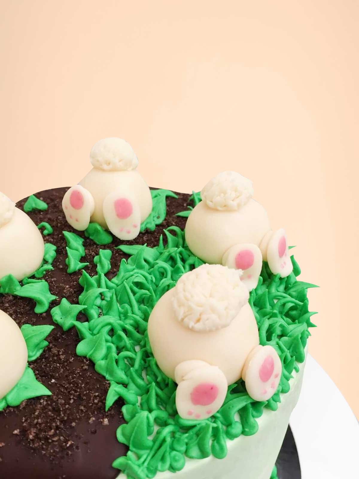 Bunny Burrow Carrot Easter Cake to Order Online