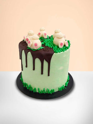 Carrot Cakes