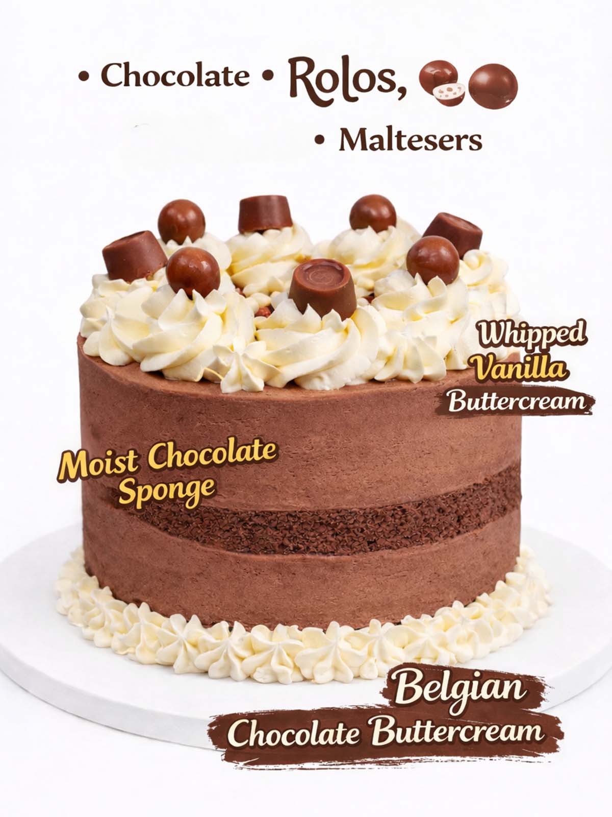 Chocolate cake Infographic showing ingredients and decorations