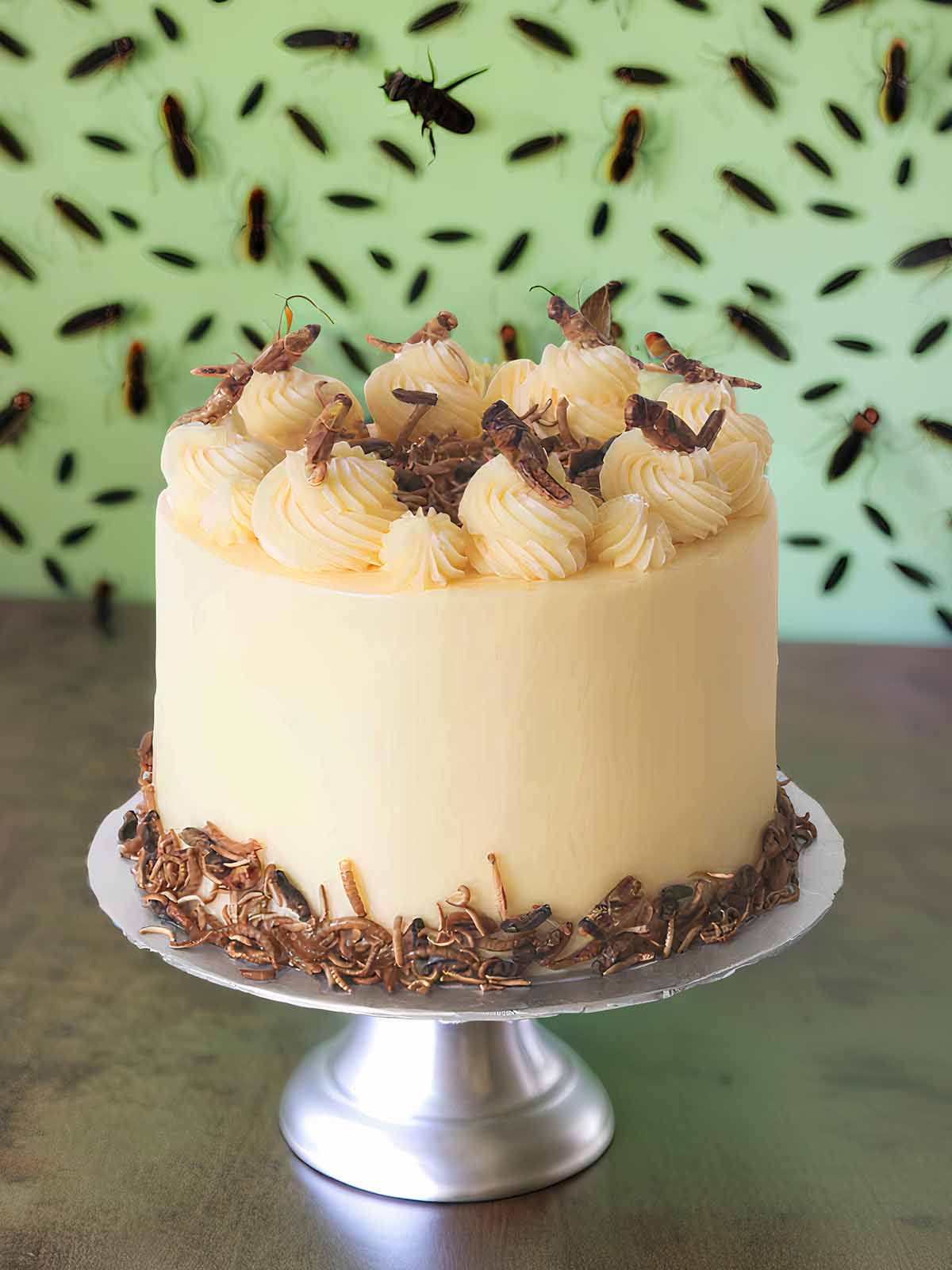 The Insect Cake, a high-protein dessert topped and bordered with assorted edible insects, is showcased on a silver cake stand against a green wall decorated with insect images.