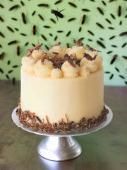 The Insect Cake, a high-protein dessert topped and bordered with assorted edible insects, is showcased on a silver cake stand against a green wall decorated with insect images.