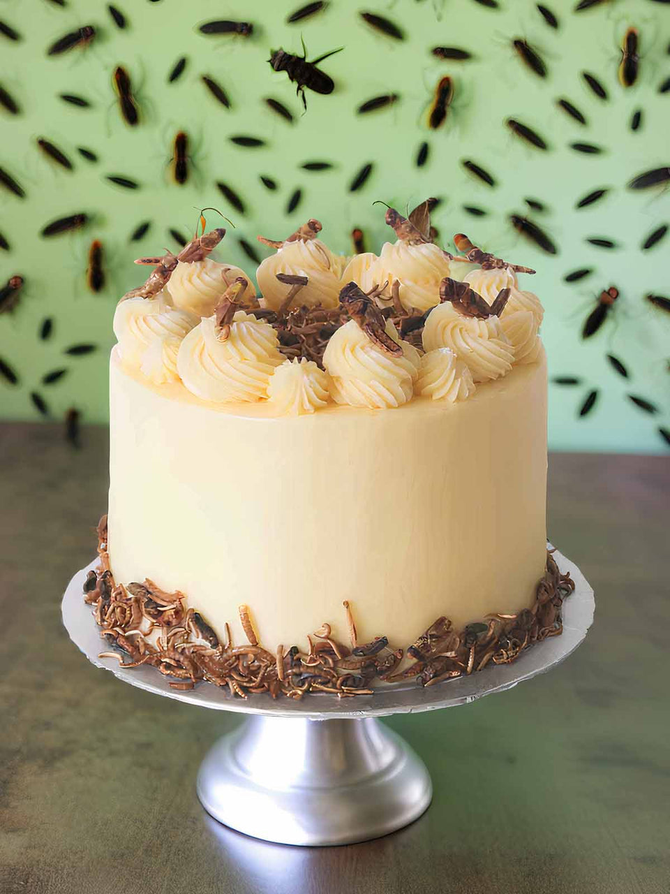 The Insect Cake, a high-protein dessert topped and bordered with assorted edible insects, is showcased on a silver cake stand against a green wall decorated with insect images.