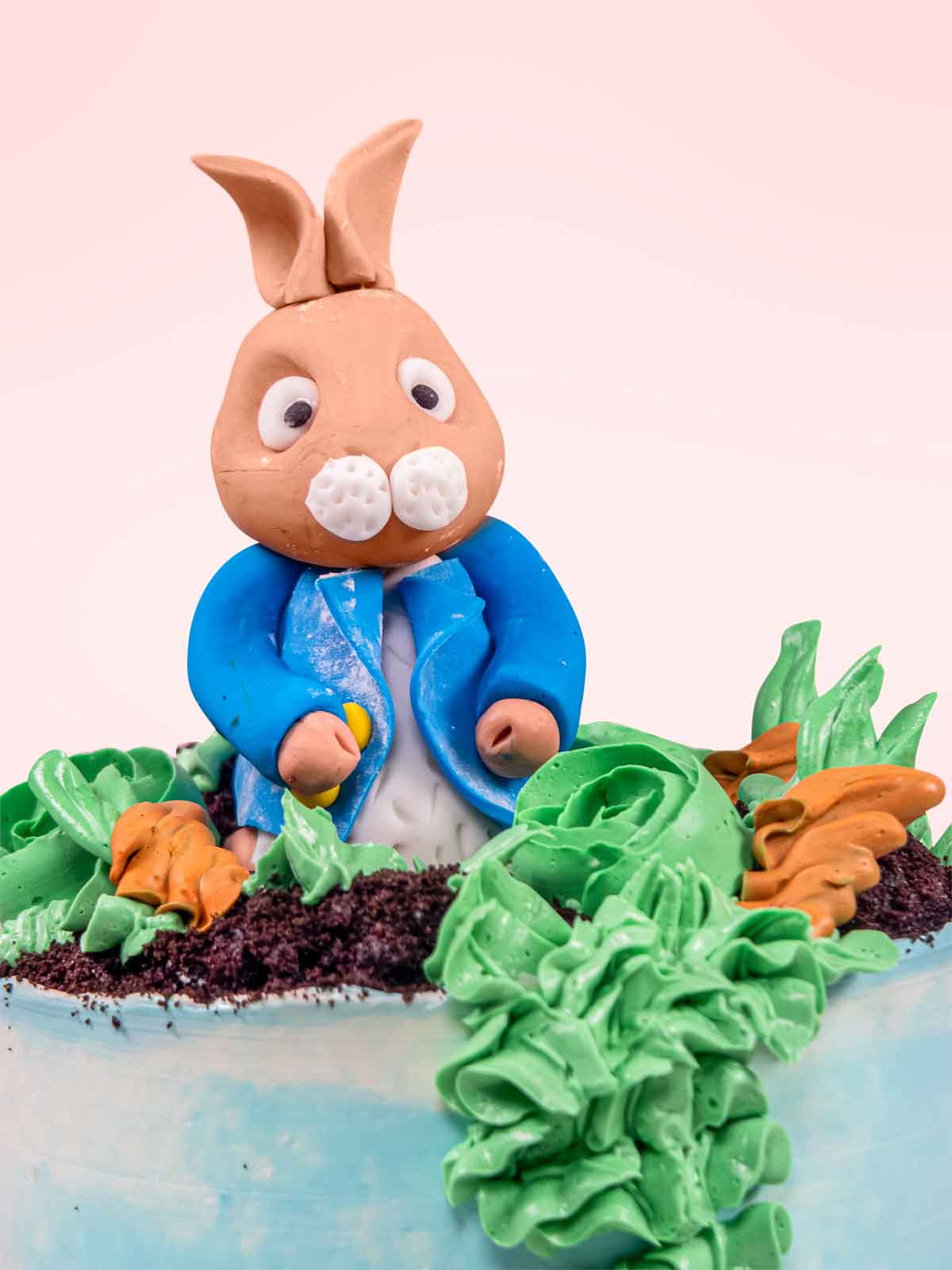 Peter Rabbit Birthday Cake | Free Delivery | London & Surrey