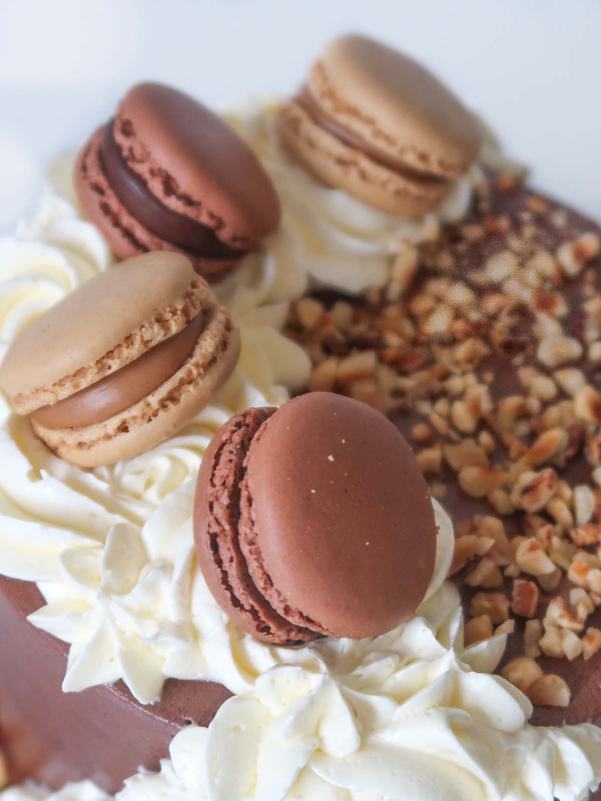 Posh Chocolate Hazelnut Cake