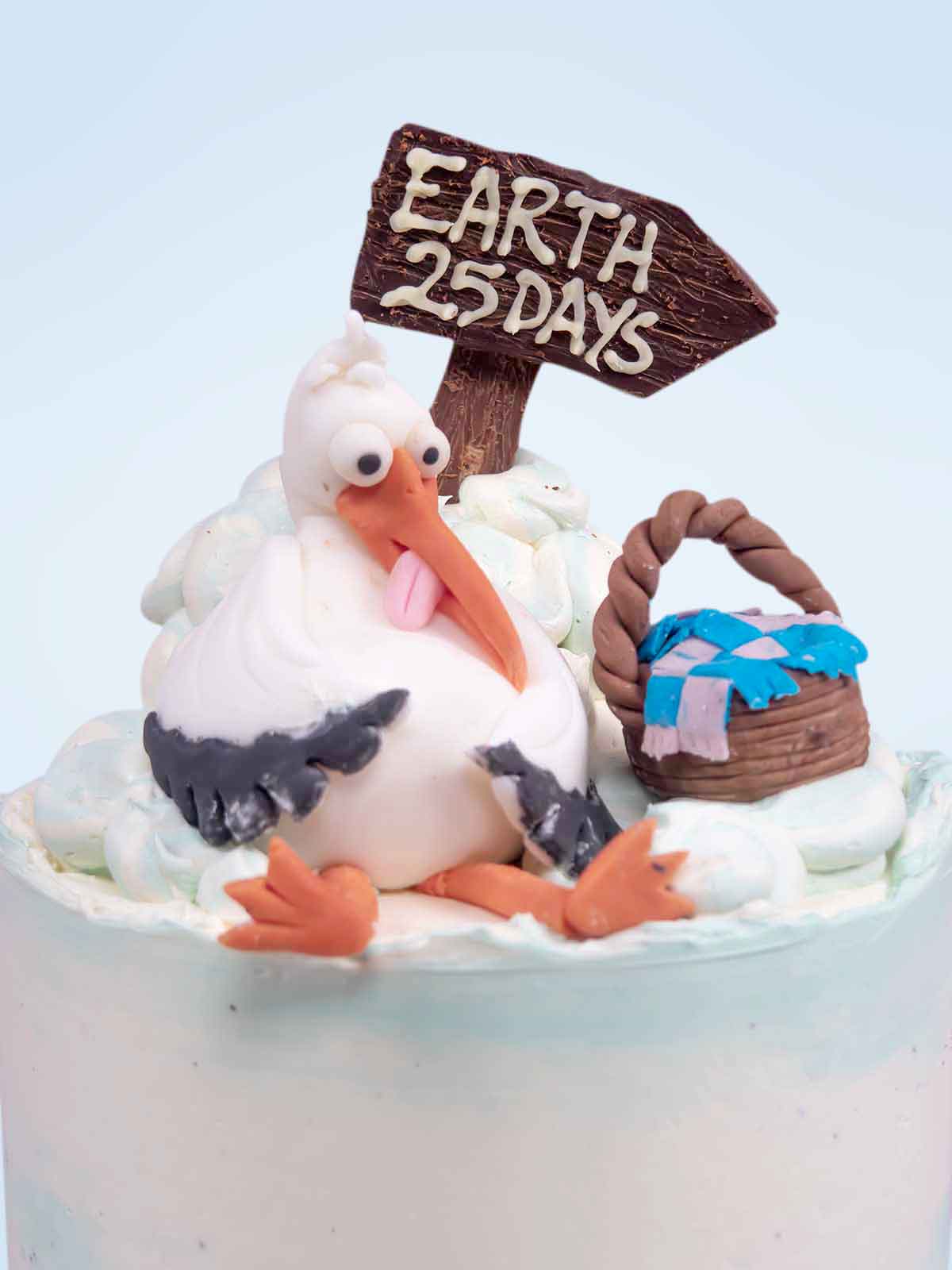 Stork Baby Shower Cake Near Me