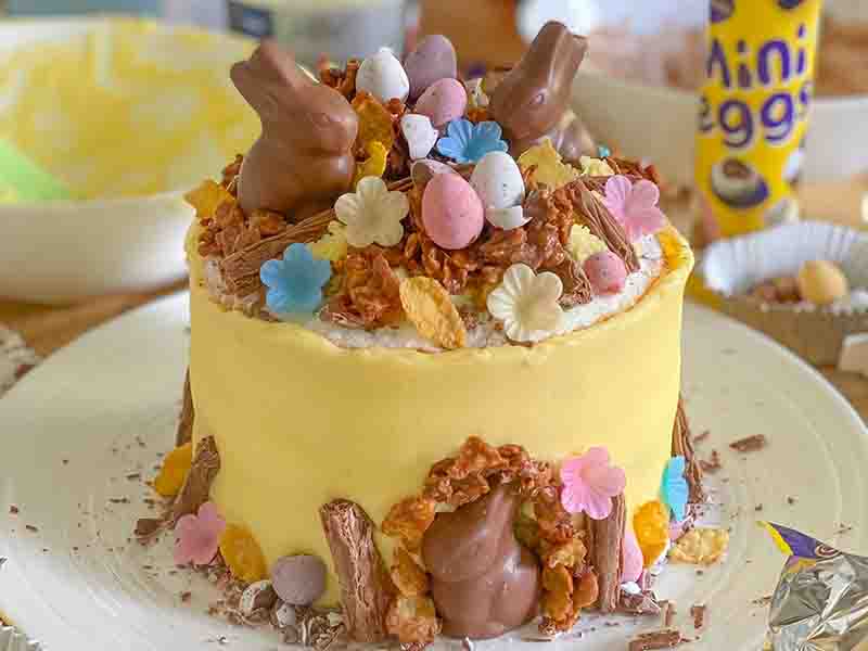 Tesco Easter Bunny Mini Egg Cake - Fake Bake