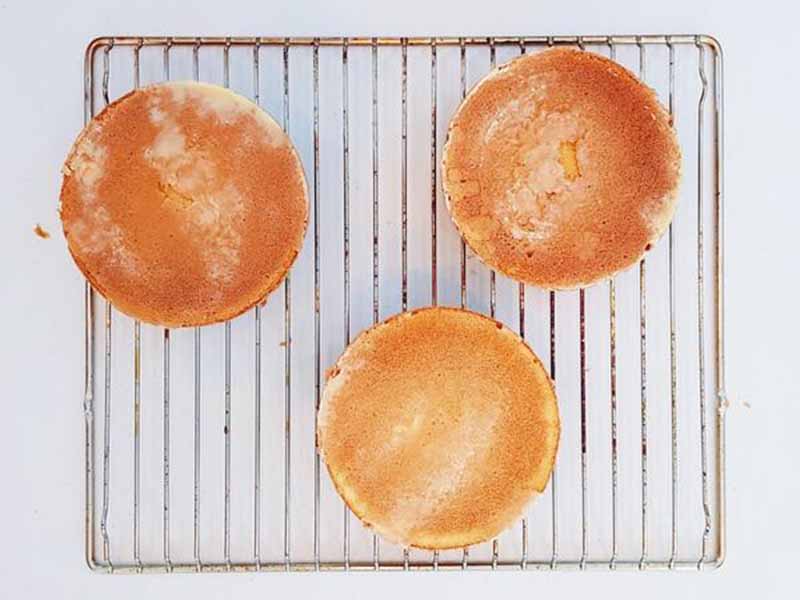 The Most Moist Vanilla Sponge Cake Recipe