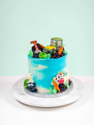 Animal Birthday Cakes