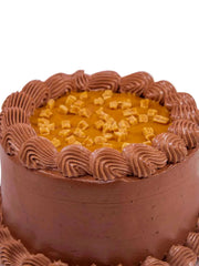 Close-up of the chocolate fudge birthday cake and chocolate decorations.